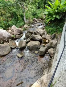 Riverside Mount Simpson Seychelles Island - Image 5