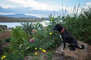 amã Stays & Trails L’Attitude by the Lake, Kamshet - Image 2