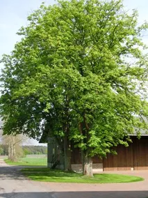 Ferienhof Riensheide - Image 3