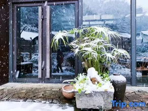 Songshan Xiaoyin Guesthouse - Image 5