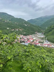 Yeşil ve huzur dolu bir daire - Image 4
