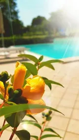 Residence Il Fiore del Garda - Image 4