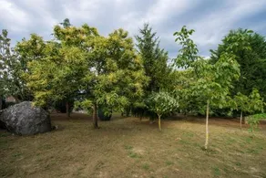 Aldeade - Image 2