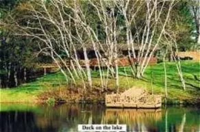 Birch Lake Ranch - Image 4