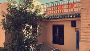 Riad Boujloud - Image 4