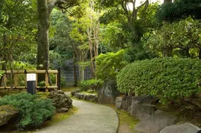 Hanare Kitaoka - Image 3