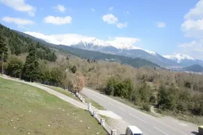 Elatodasos - Image 3