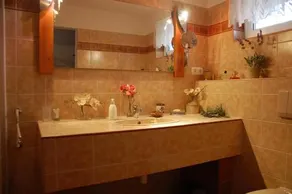 Villa Harkany - Image 4