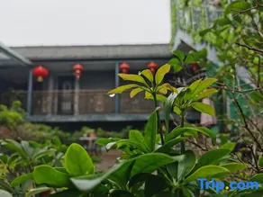 Yuesun Finia Hotel (Dazhou Luofu Plaza Railway Station) - Image 5
