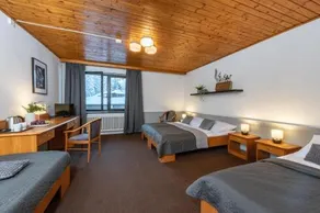 Wellness Hotel Sedy Vlk - Image 3