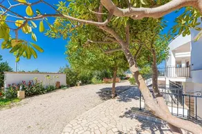 Residenza Arcangela 4 Alloggi con 2 Piscine Private nel Salento Fino a 20 Posti Letto - Image 2