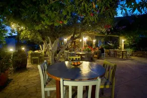 Harry's Paradise - Image 4