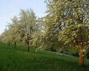 Unik Bed and Breakfast - Image 5