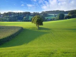 Attraktivt bondehus i det sydlige Limburg med terrasse - Image 2