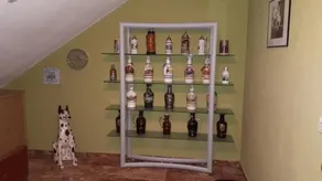 Pension Maddox - Image 3