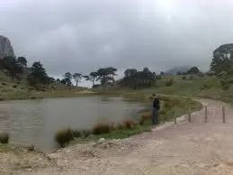 Cal Tio Mingo - Image 3