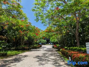 Bokeyue Club Holiday Villa - Image 5