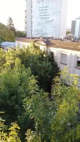 Monoambiente La Plata - Image 5