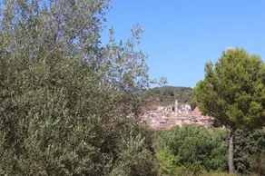 Rocaplana Club De Campo - Image 2