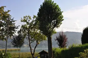 Seebungalows Wedenig - Image 4
