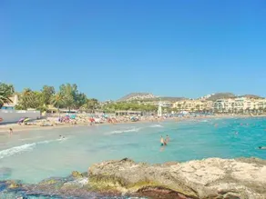 Piso Palmeras - Image 5