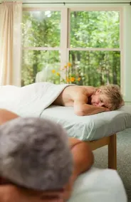 Inn & Spa At Cedar Falls - Image 3