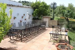 The White Olive - Image 5