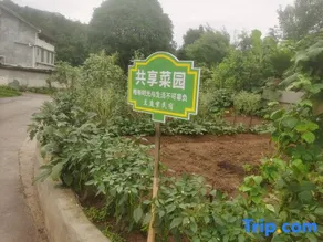 Lantingxu Homestay - Image 4