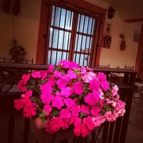 Casa de Aldea La Pescal - Image 2