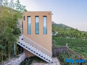 Bufu Yunding Ye Luxury Meisu - Image 4