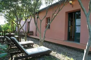 Fattoria di Collemezzano - Image 3