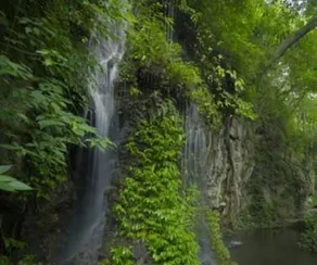 Bolian Resorts & Hot Spring Chongqing - Image 4