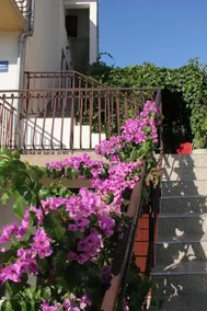 Apartments Mira Grebastica - Image 4