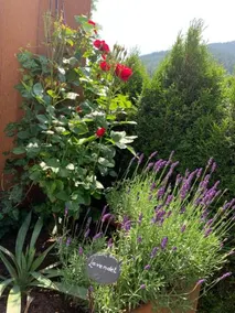 Haus Obermoos - Image 3
