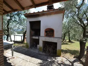 On the Green Hills in the Montalbano Area you can Find my Farm - Image 3