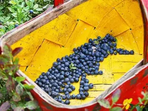 8 Person Holiday Home in Burea-by Traum - Image 2