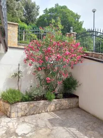 Apartments Delfin - Image 3