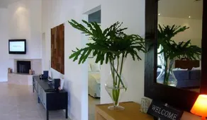 Dolphin Retreat - East Boca Raton - Image 2