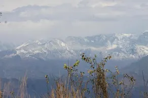 View Himalaya Resort - Image 2
