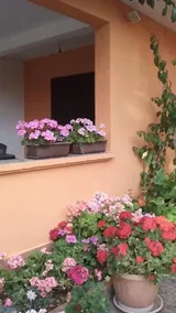 Apartments Mirjana - Image 4