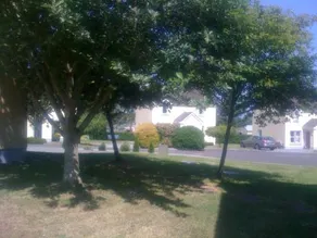 The Waterside Cottages - Image 4
