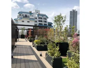 Act Hotel Roppongi - Vacation STAY 84273 - Image 4