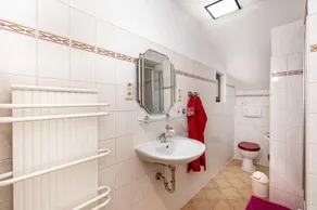 Ferienhaus Markersbach Erz 1061 - Image 4