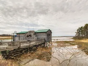 The Artist Shack - Image 2