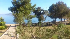 Ege Yildizi Holiday Homes - Image 4