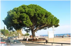 Apartamento Badia - Image 4