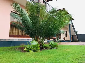 Vila Teresa Lodge - Image 3