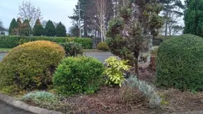 Hawthorn Bed And Breakfast - Image 4
