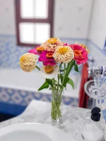 Casa Jazmin - Image 3