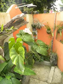 Pousada Vista Bela - Image 3